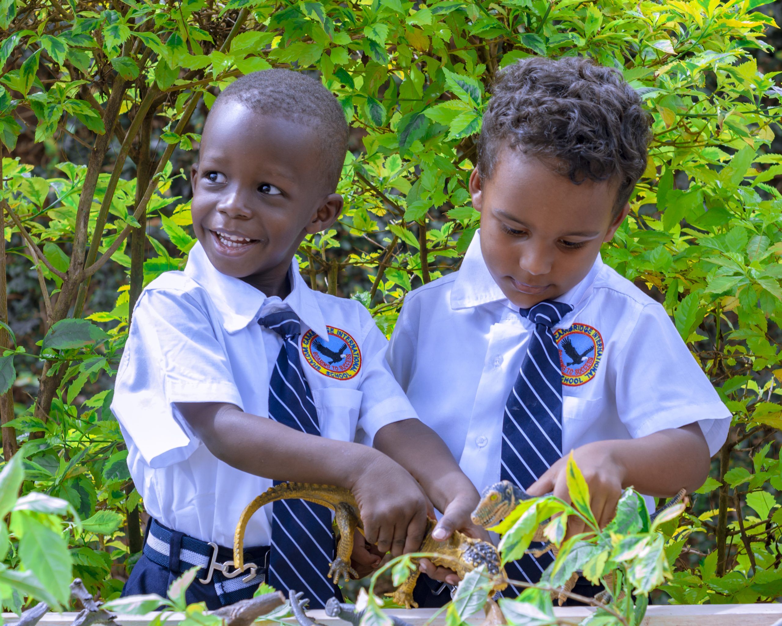 Shalom Cambridge School